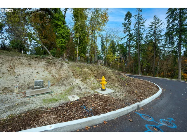 a view of a backyard of the house