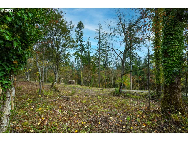 a backyard of a house with lots of green space