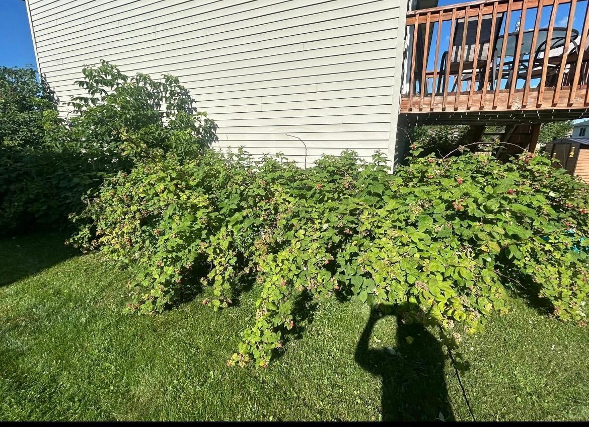 2814 Addison Avenue Brainerd, MN 56401 - Photo 37 of 41