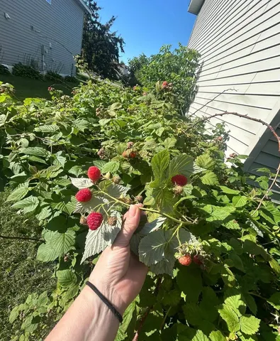 $285,000 | 2814 Addison Avenue, Brainerd, MN 56401