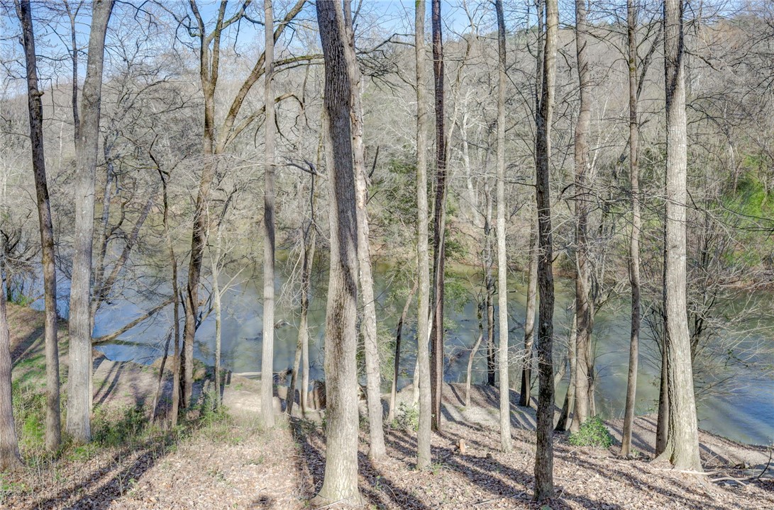 103 Pacolet Trail Piedmont, SC 29673 - Photo 33 of 35 Winding Trail to River