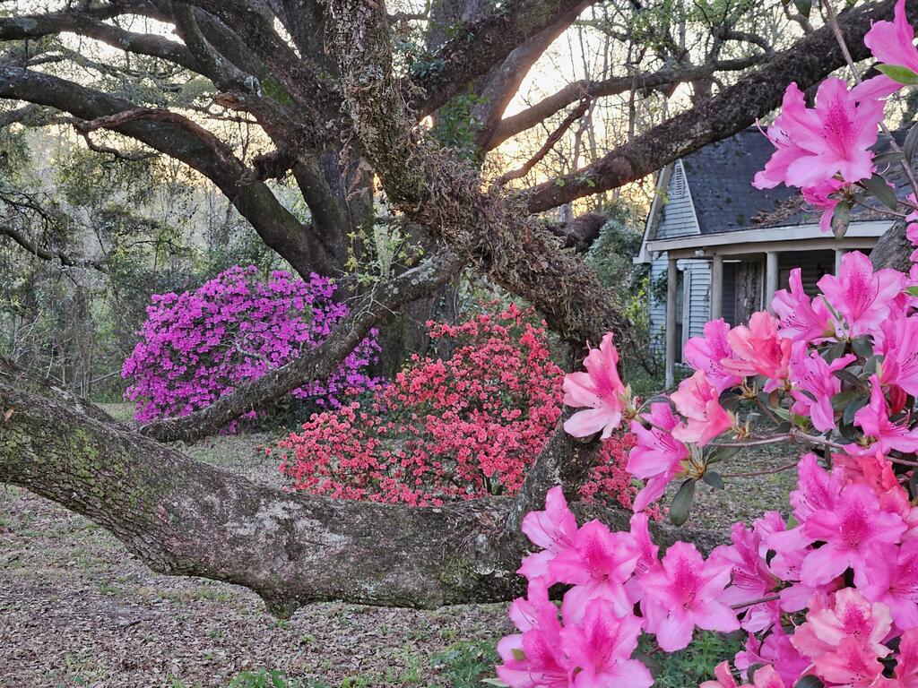 12240 Old Kiln Road Picayune, MS 39466 - Photo 2 of 26 Gallery Image 2