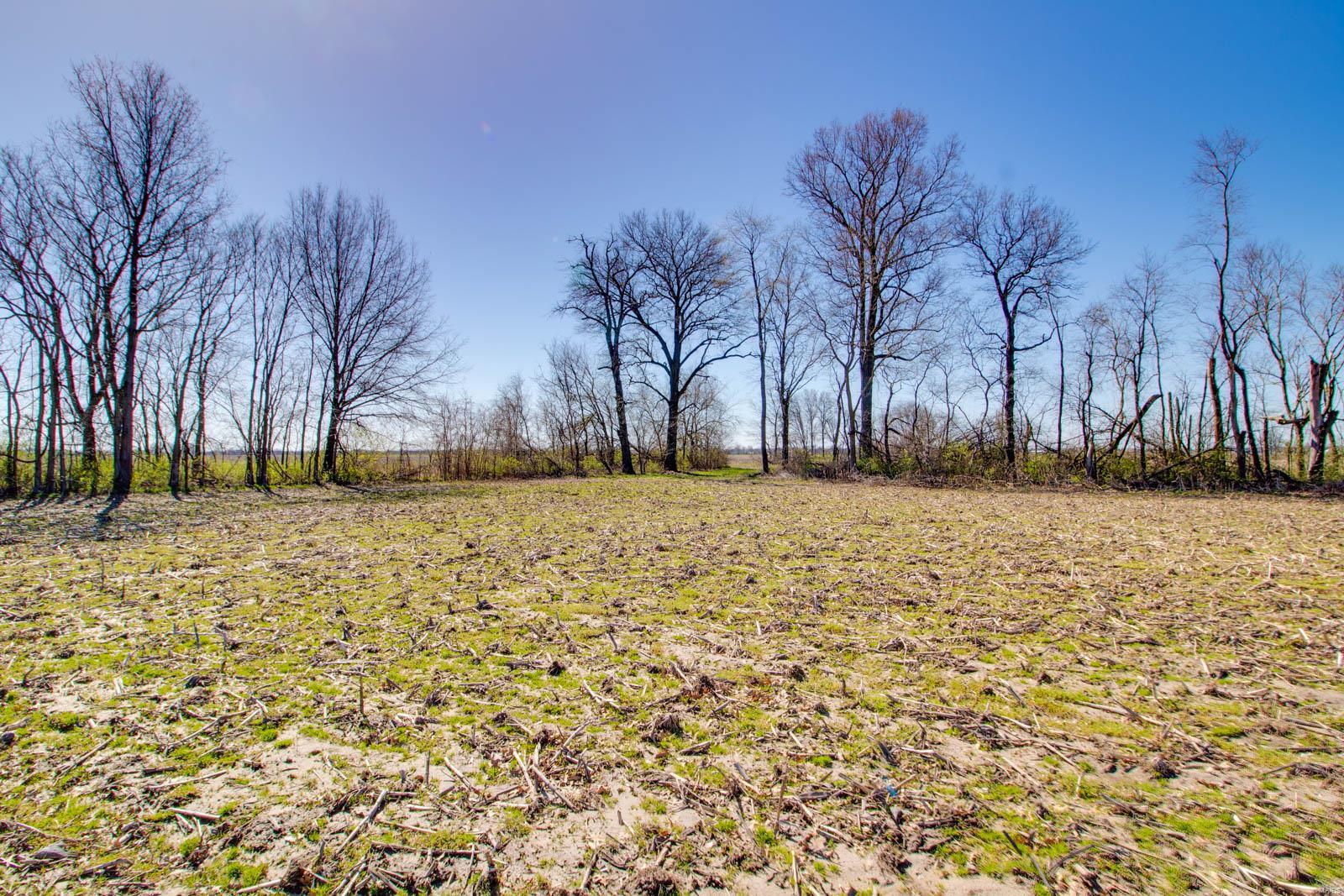0 Diane Road Alhambra, IL 62001 - Photo 11 of 16