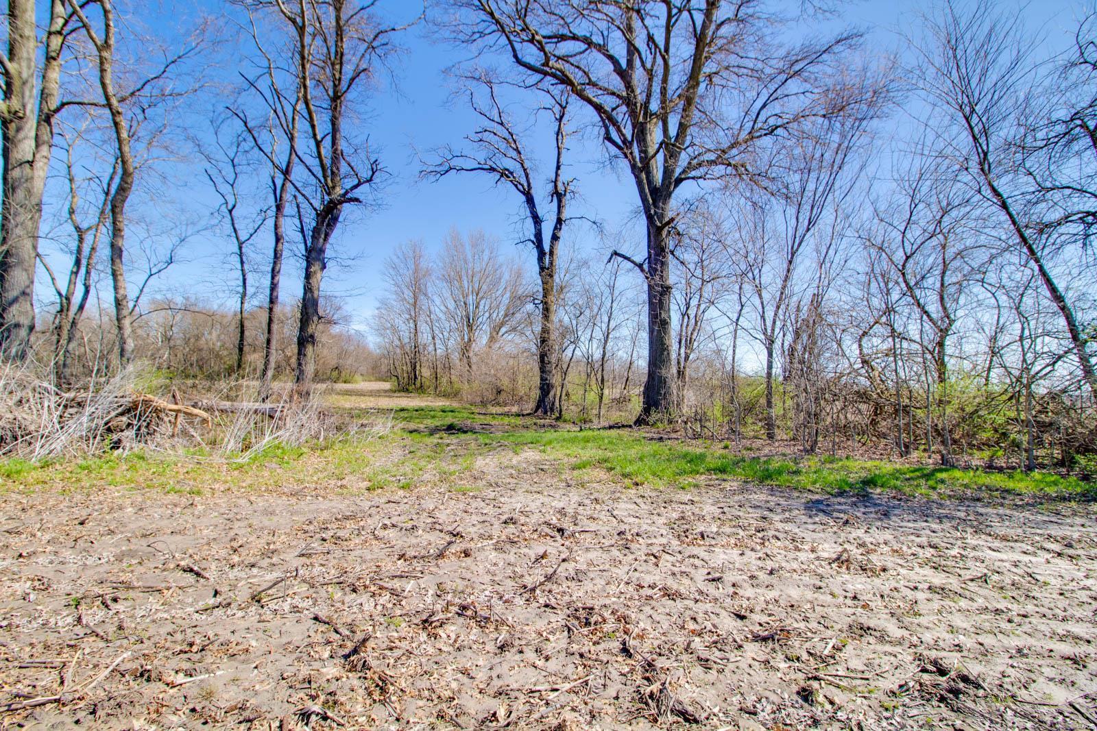 0 Diane Road Alhambra, IL 62001 - Photo 8 of 16