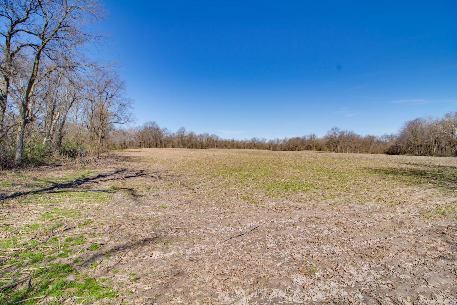0 Diane Road Alhambra, IL 62001 - Photo 10 of 16