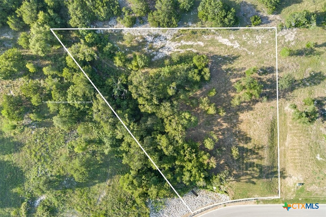 10132 Blanco Springs Road Gatesville, TX 76528 - Photo 2 of 27 Gallery Image 2