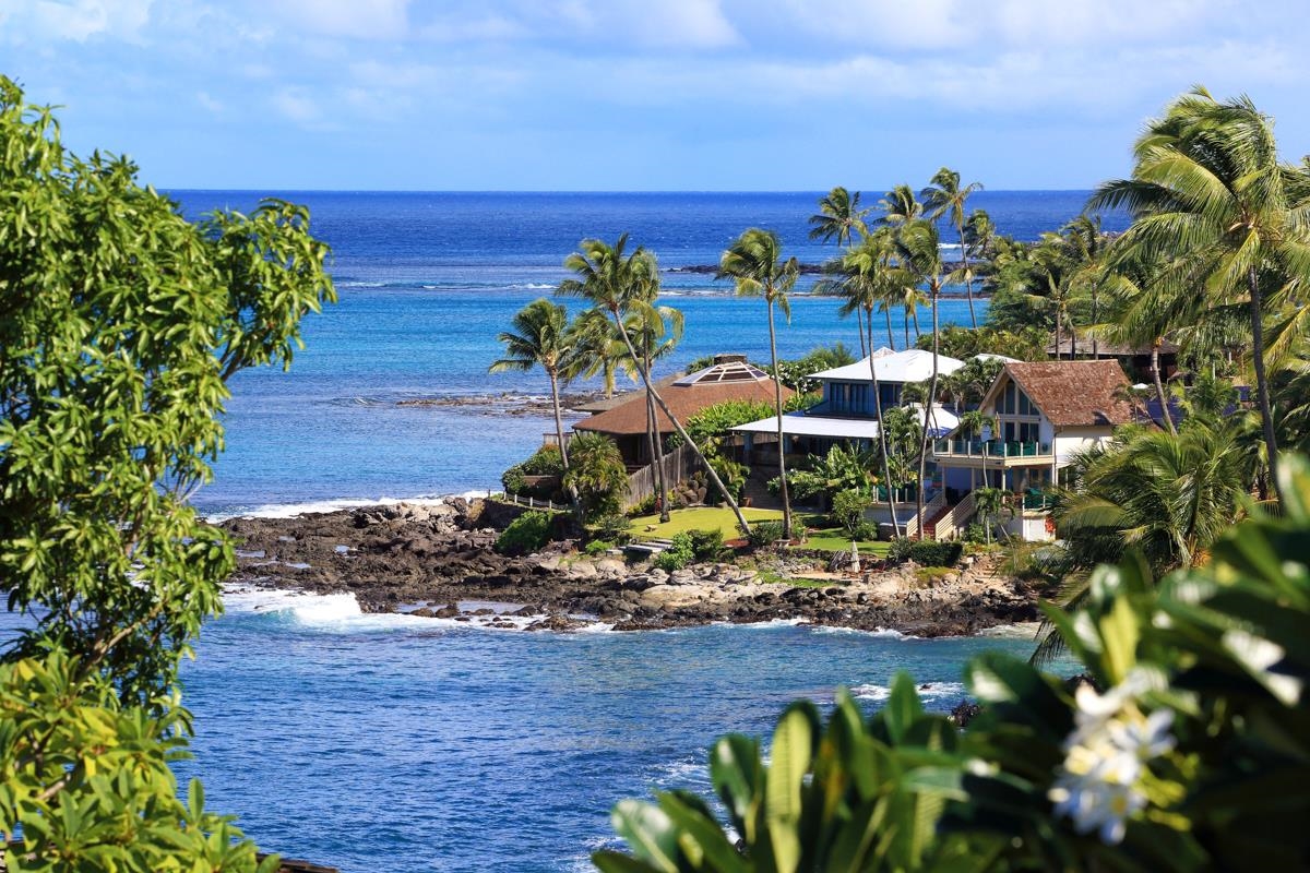 5045 Lower Honoapiilani Road, Unit 6 Lahaina, HI 96761 - Photo 3 of 30 a view of a garden with plants