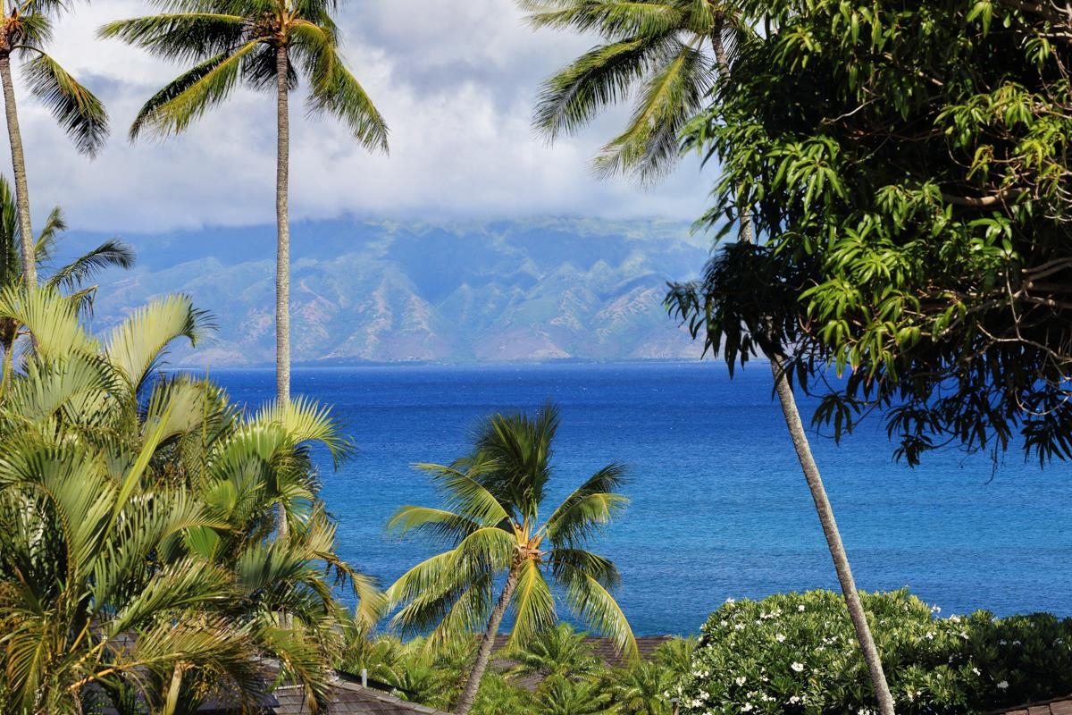 5045 Lower Honoapiilani Road, Unit 6 Lahaina, HI 96761 - Photo 4 of 30