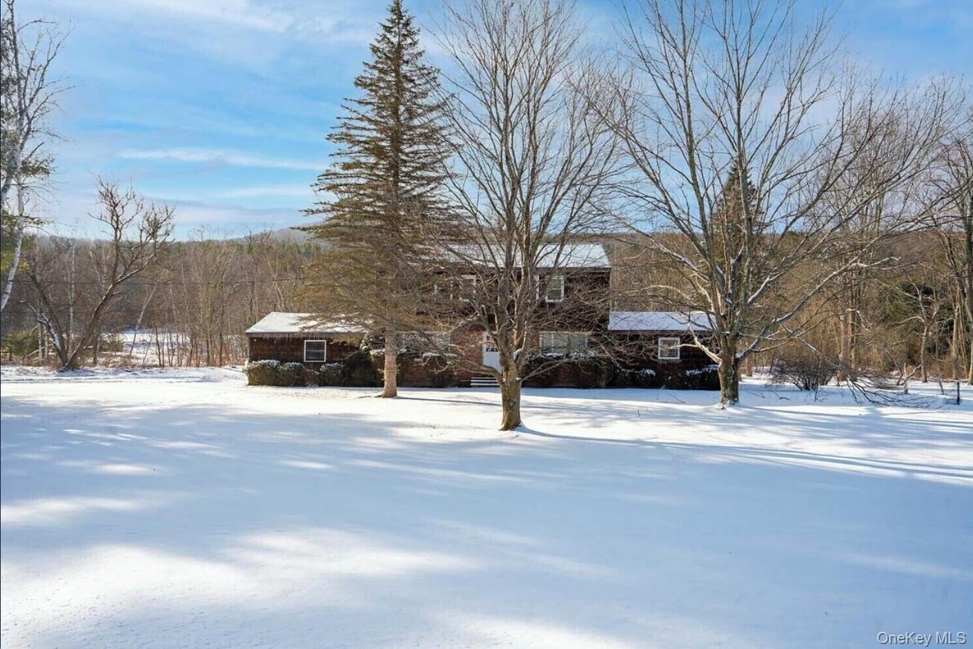 170 Maplecrest Road Windham, NY 12439 - Photo 34 of 36 a street view with a large trees