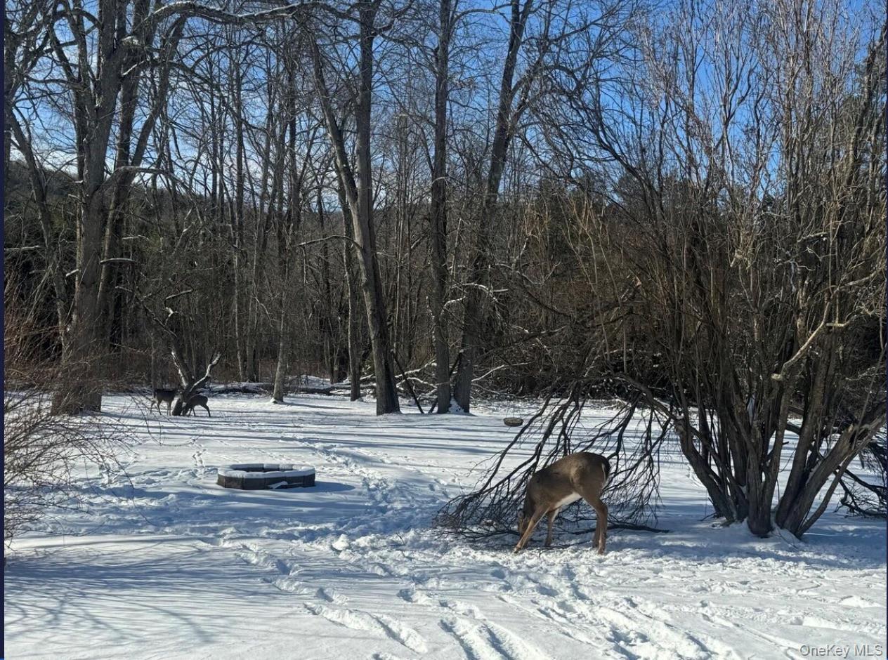170 Maplecrest Road Windham, NY 12439 - Photo 35 of 36 a view of a tree in front of a house
