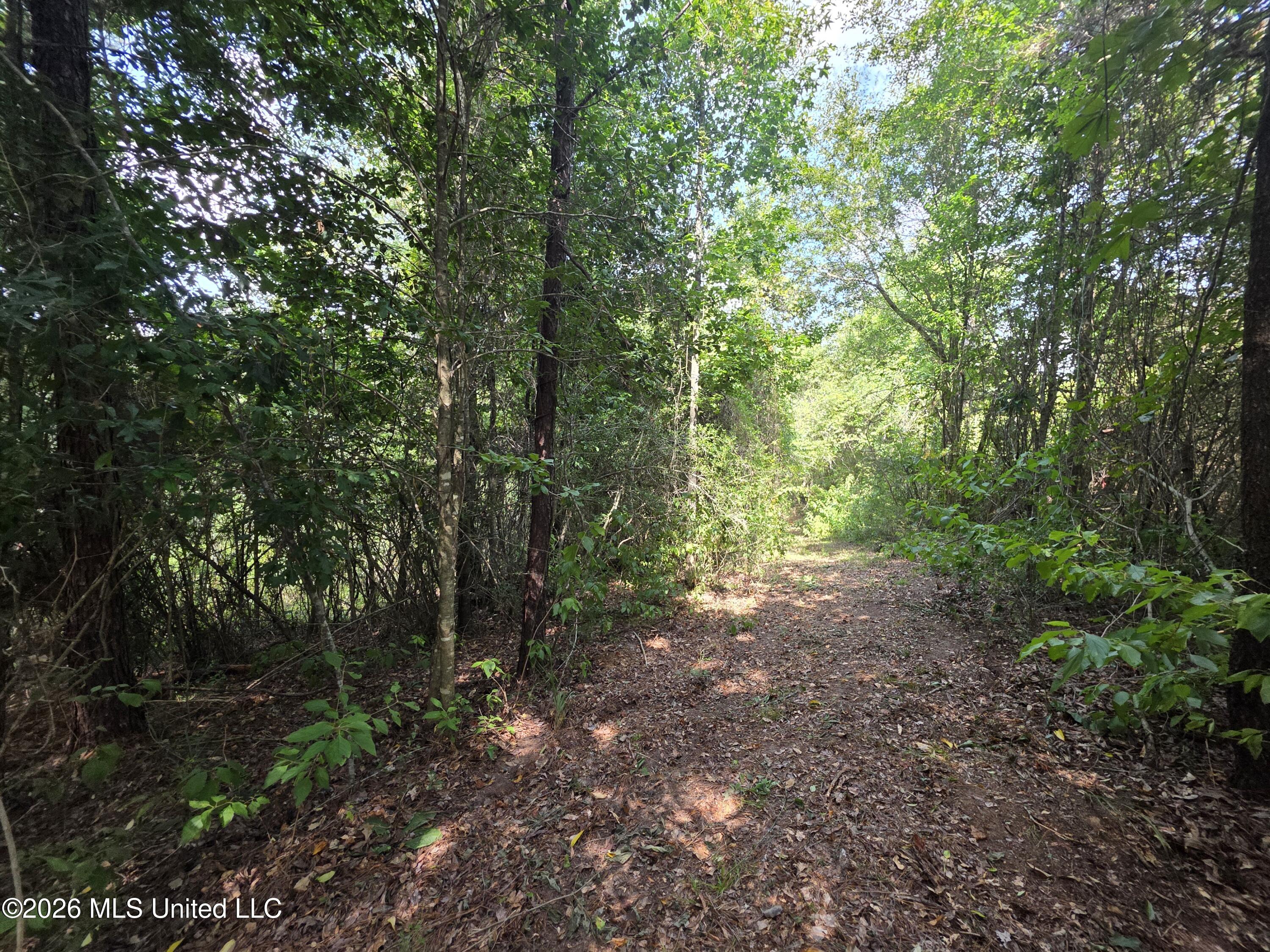Mt Carmel Road Prentiss, MS 39474 - Photo 38 of 53 37973