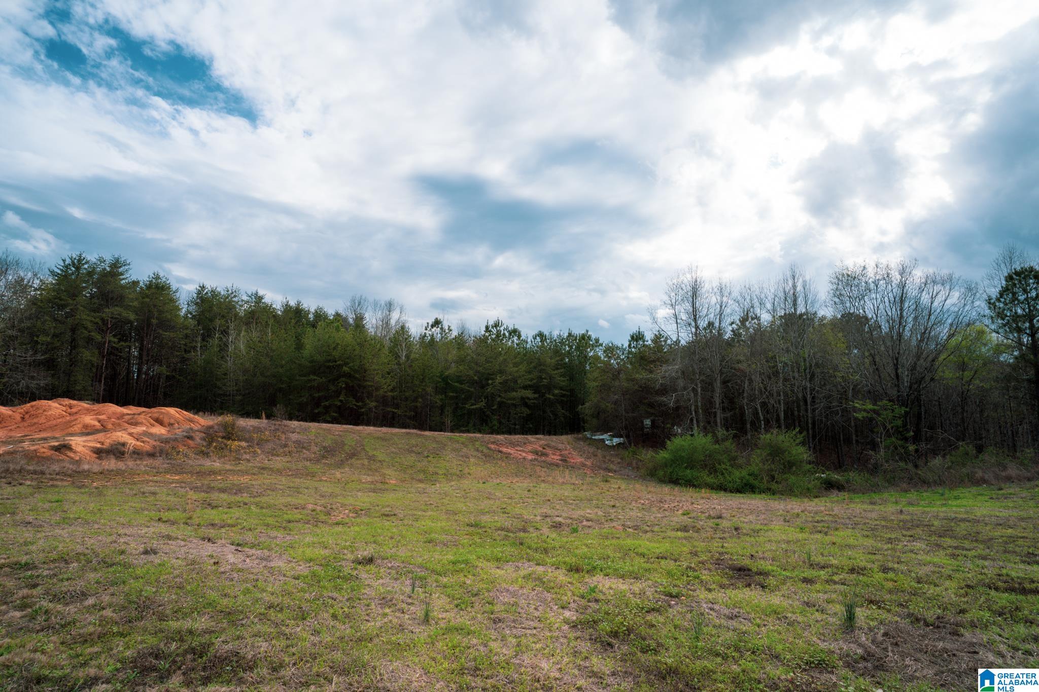 17571 Groundhog Road Adger, AL 35006 - Photo 93 of 94