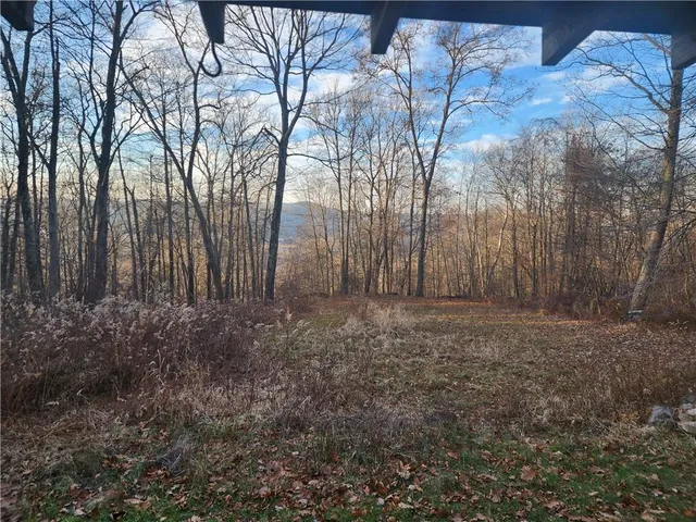 a view of backyard with large trees