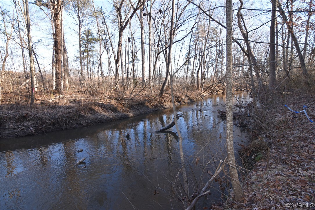 Lot 4 Plank Road Dillwyn, VA 23936 - Photo 20 of 25 a view of outdoor space with lots of trees