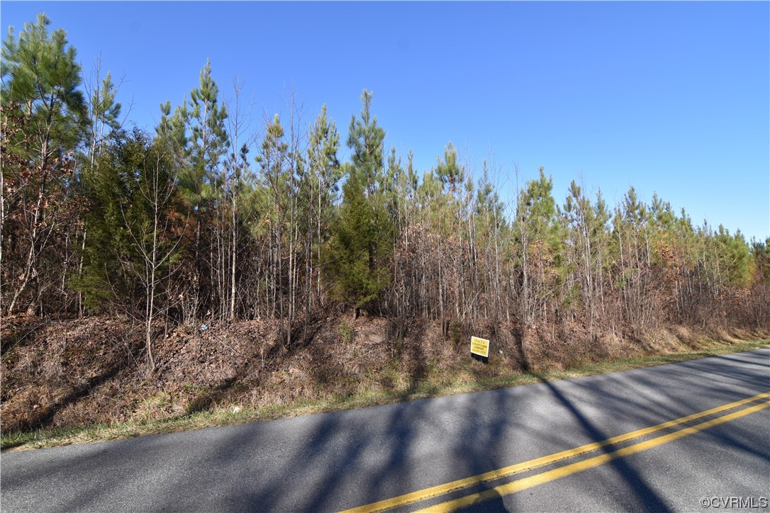 Lot 4 Plank Road Dillwyn, VA 23936 - Photo 24 of 25 a view of a tree with an outdoor space