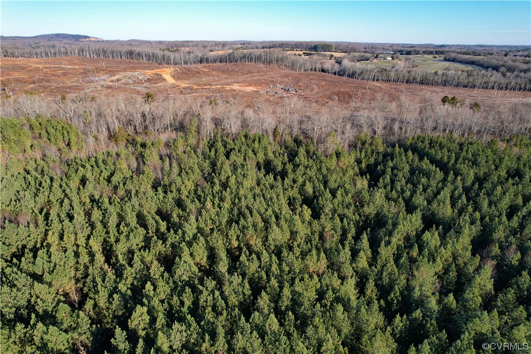 Lot 4 Plank Road Dillwyn, VA 23936 - Photo 3 of 25 a view of a field with trees in the background