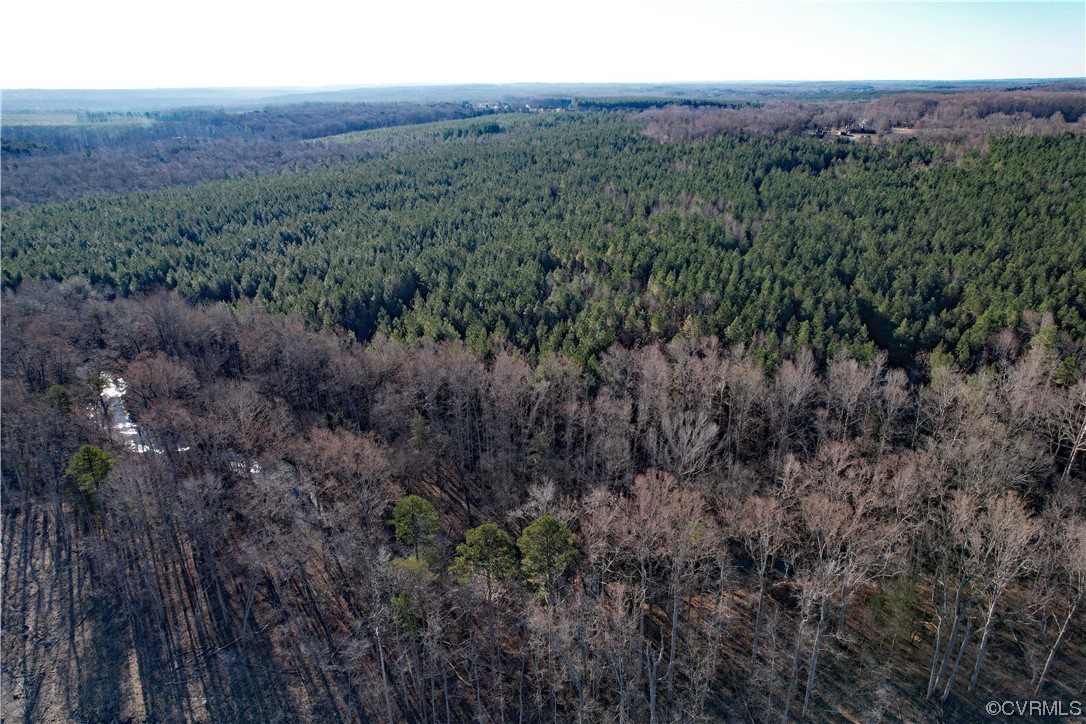Lot 4 Plank Road Dillwyn, VA 23936 - Photo 8 of 25 a view of a lush green forest with trees and some houses