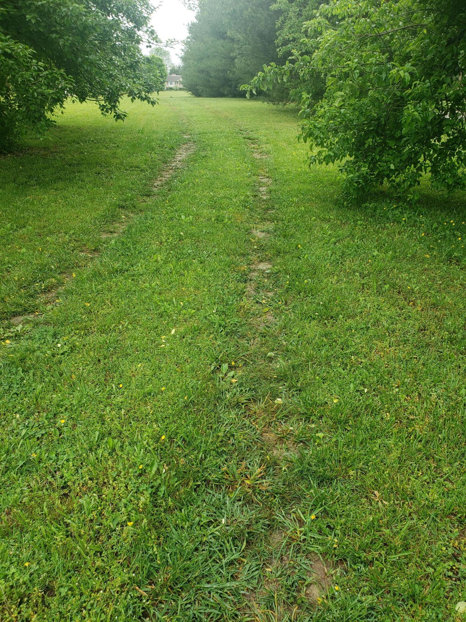 659 C M Jones Road Greeneville, TN 37745 - Photo 12 of 23 20210505_143625