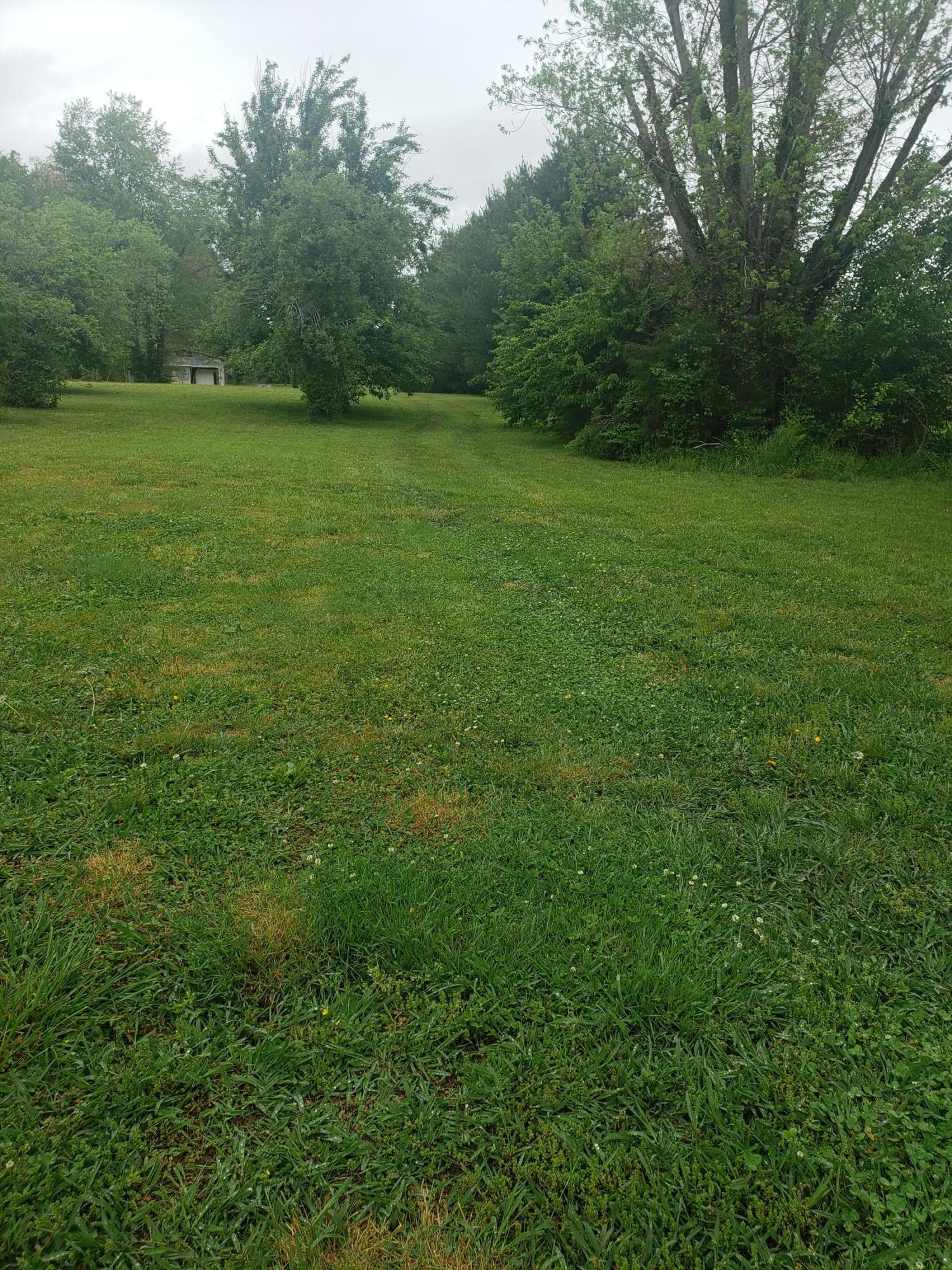 659 C M Jones Road Greeneville, TN 37745 - Photo 13 of 23 20210505_143602