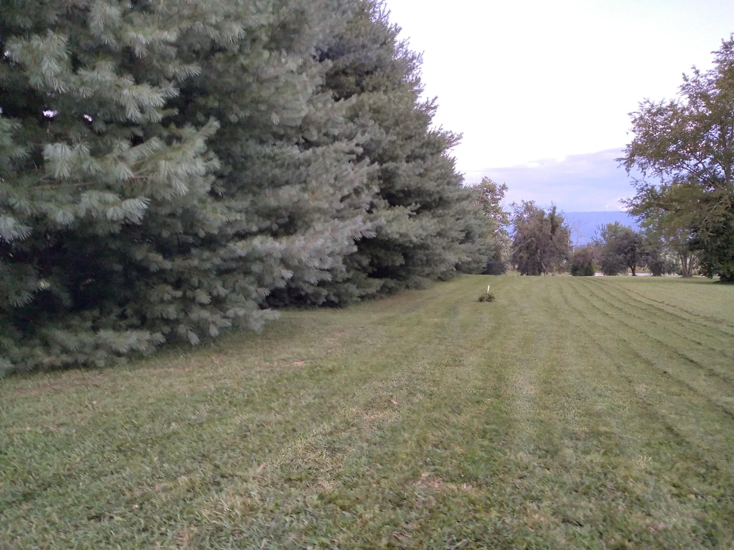 659 C M Jones Road Greeneville, TN 37745 - Photo 3 of 23 123_1