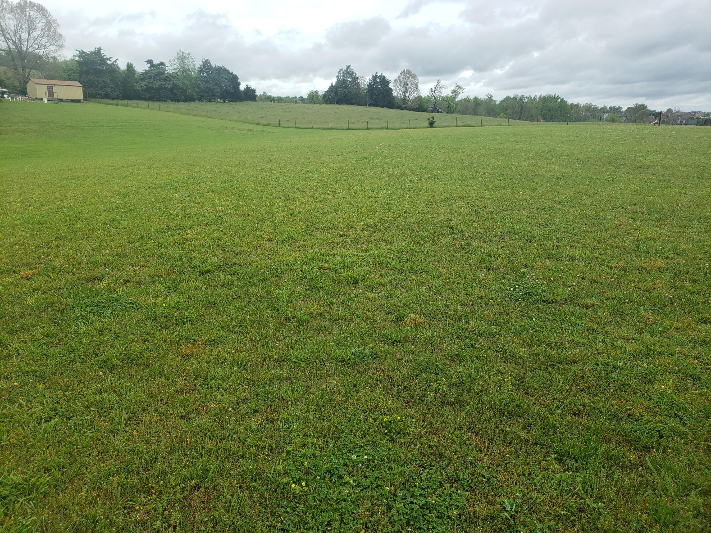 659 C M Jones Road Greeneville, TN 37745 - Photo 7 of 23 20210505_143956