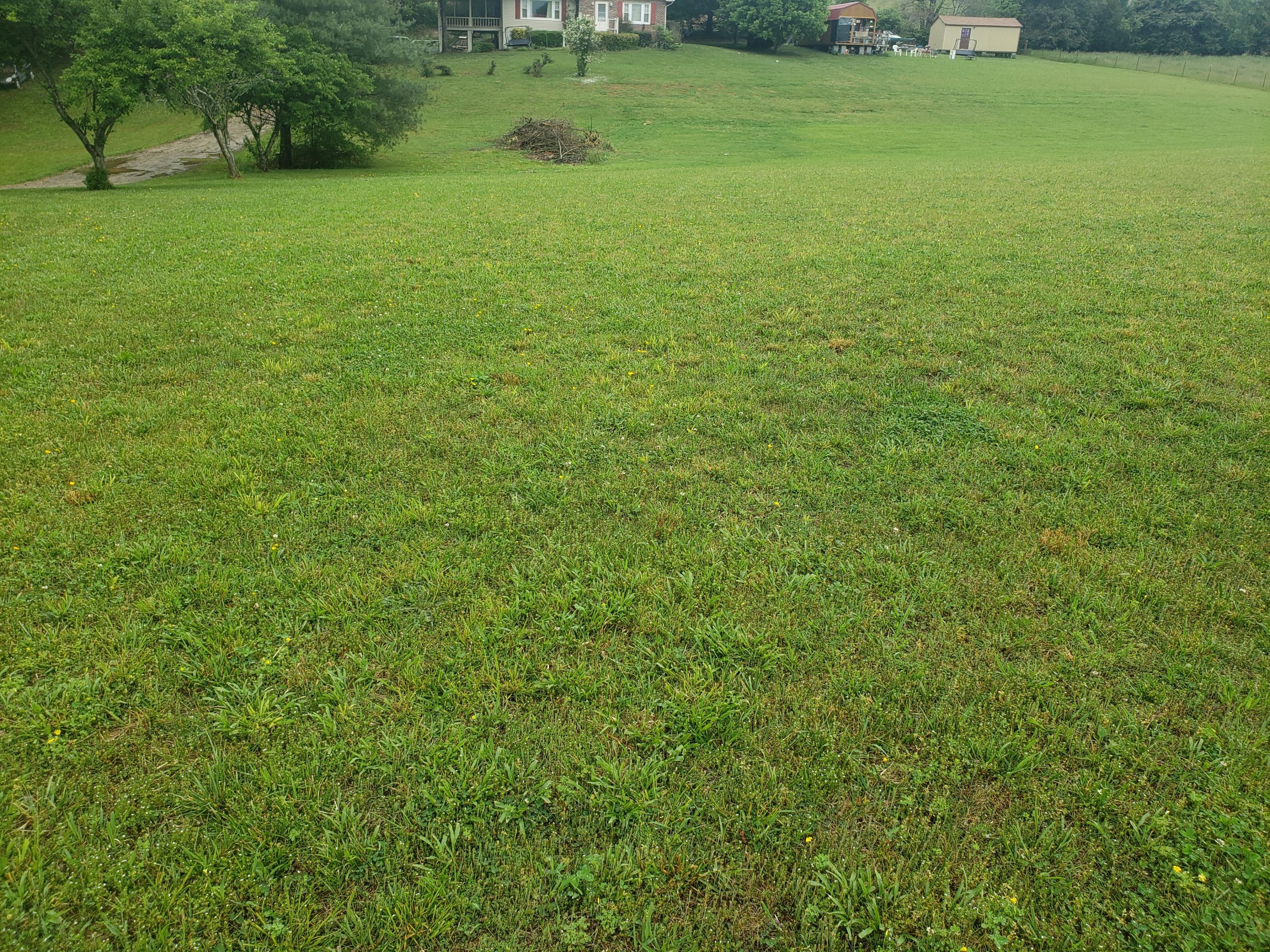 659 C M Jones Road Greeneville, TN 37745 - Photo 8 of 23 20210505_143953