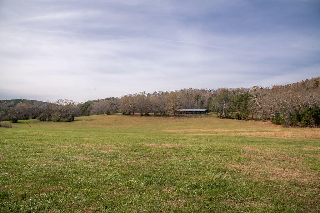 8 Maddox Lake Road Summerville, GA 30747 - Photo 103 of 136 Maddox Lake