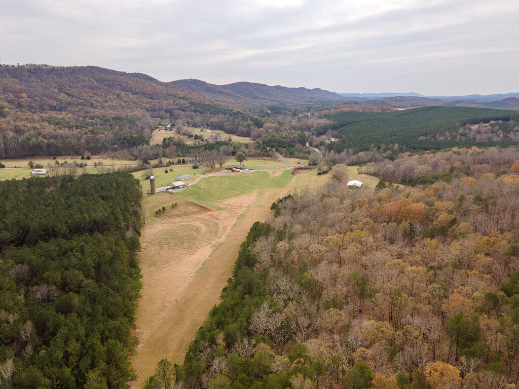 8 Maddox Lake Road Summerville, GA 30747 - Photo 126 of 136 RUNWAY