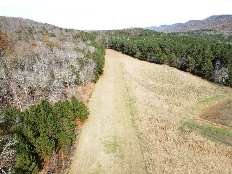 8 Maddox Lake Road Summerville, GA 30747 - Photo 132 of 136 1800 Ft Runway