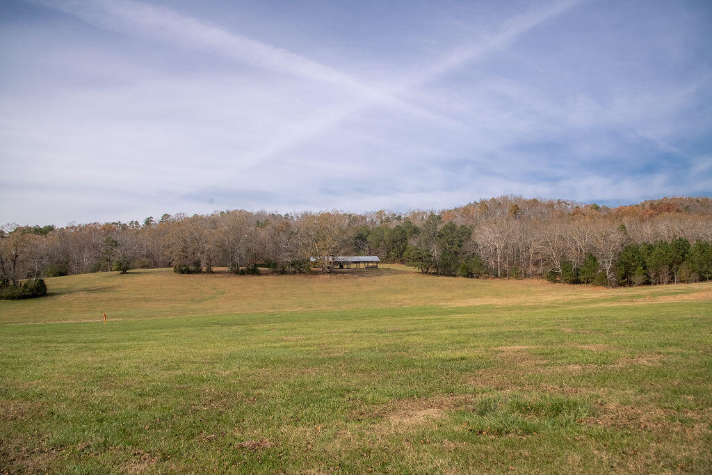 8 Maddox Lake Road Summerville, GA 30747 - Photo 92 of 136 MaddoxLake