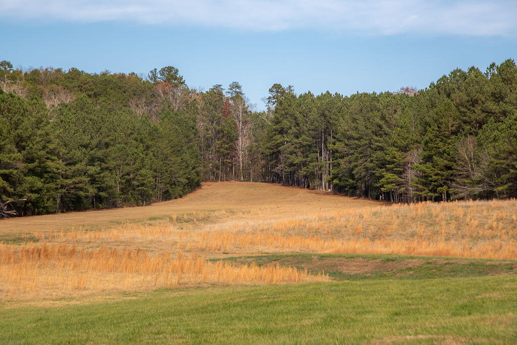 8 Maddox Lake Road Summerville, GA 30747 - Photo 95 of 136 RUNWAY