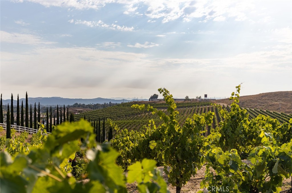 33240 La Serena Way Temecula, CA 92591 - Photo 59 of 75 a view of a lake with a mountain