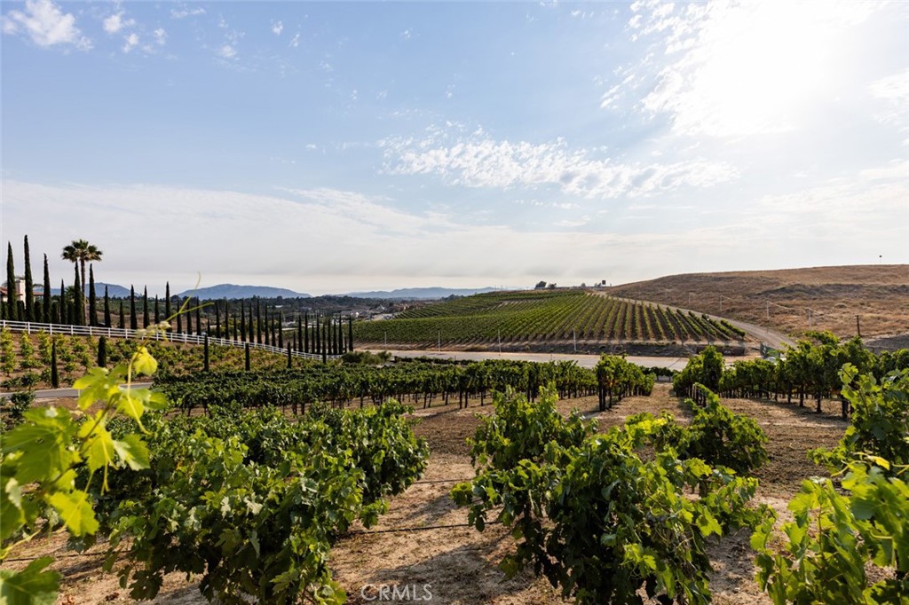 33240 La Serena Way Temecula, CA 92591 - Photo 64 of 75 a view of a lake with a city