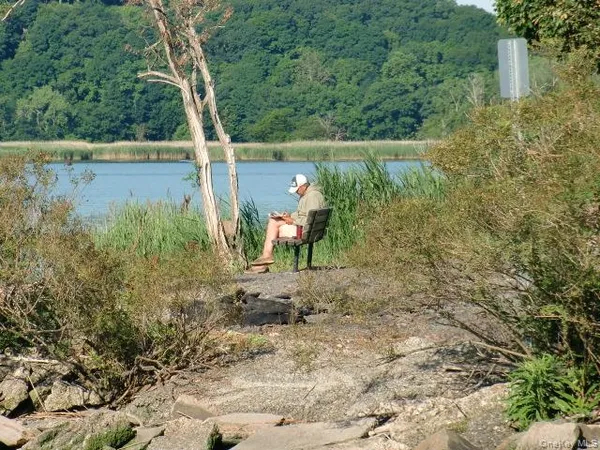 a view of a yard with large trees