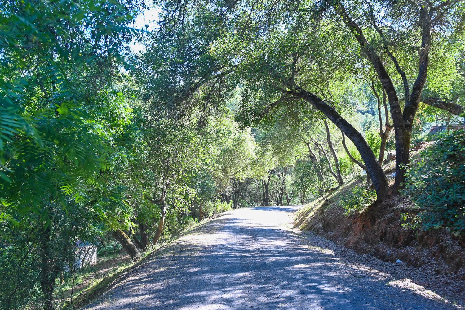 5288 Rattlesnake Bar Road Pilot Hill, CA 95664 - Photo 29 of 45