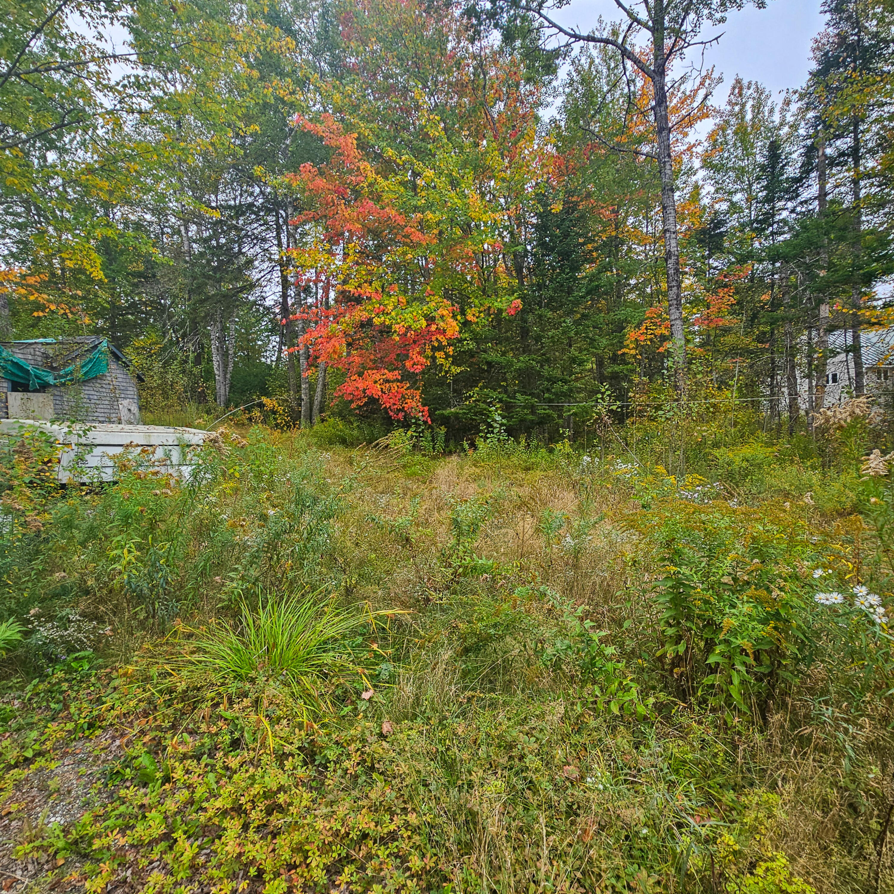 206 Morrison Farm Road Mariaville, ME 04605 - Photo 7 of 28 20250924_104120