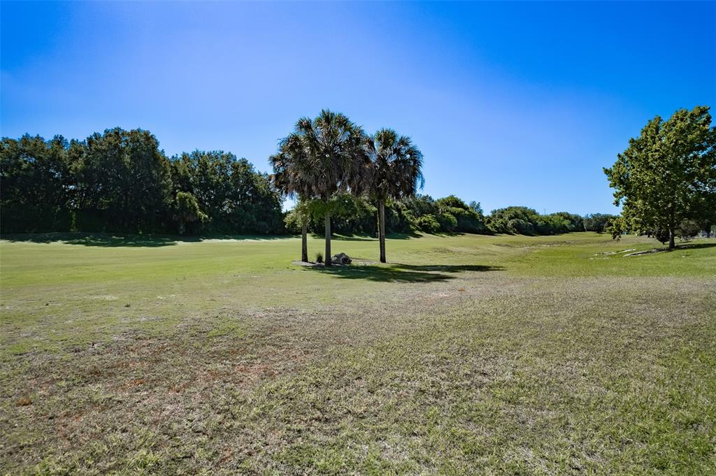 15143 Southwest 14th Avenue Road Ocala, FL 34473 - Photo 43 of 53 a view of a field with a tree