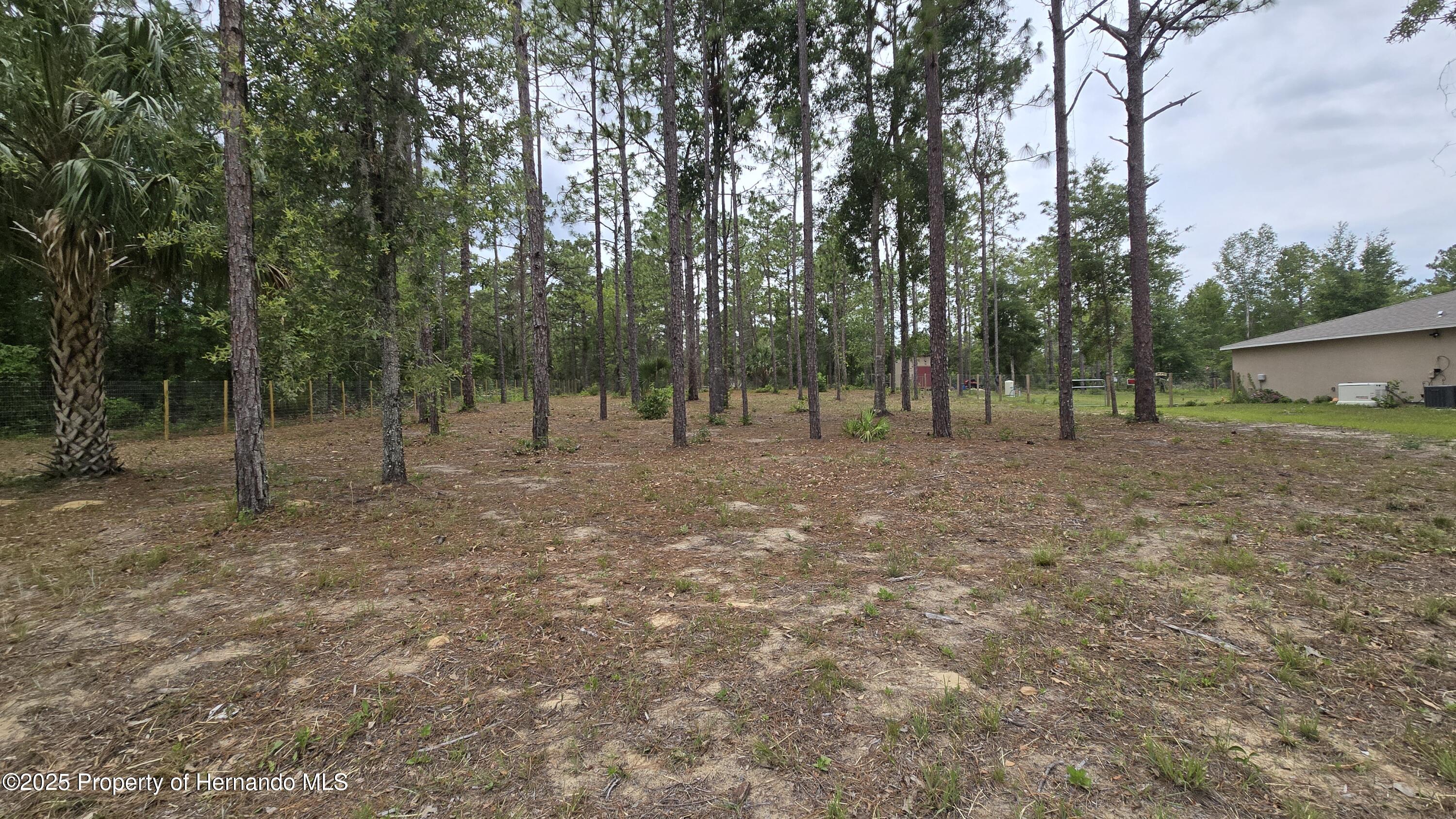0 Catbird Road Weeki Wachee, FL 34614 - Photo 5 of 6