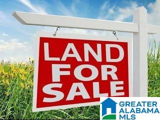 850 Rosemary Way Mount Olive, AL 35117 - Photo 2 of 12