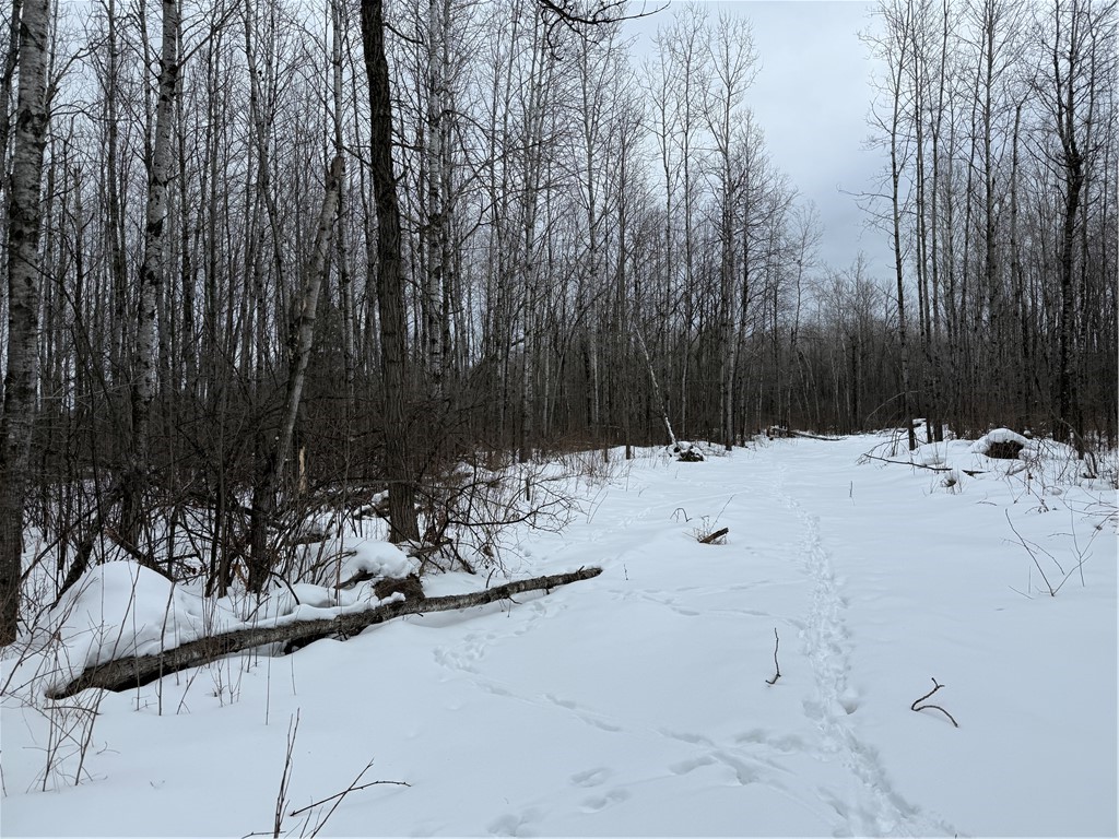 N8280 Winter Road Ladysmith, WI 54848 - Photo 28 of 33