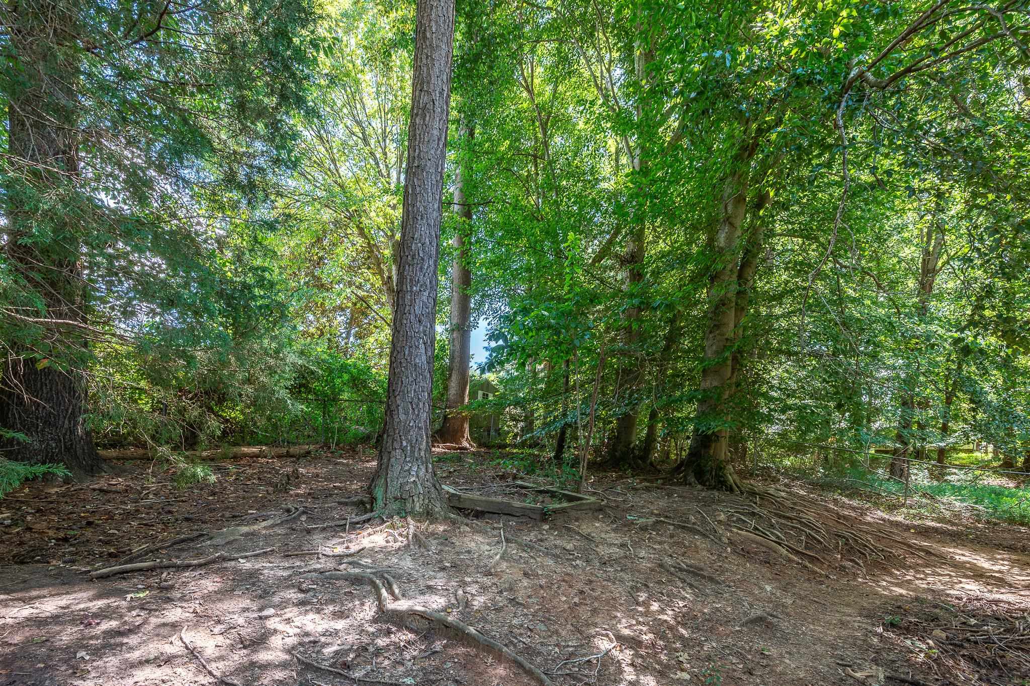 140 Garford Road Madison Heights, VA 24572 - Photo 28 of 35 a view of a forest with trees in the background