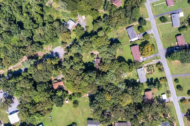 a picture of flowers