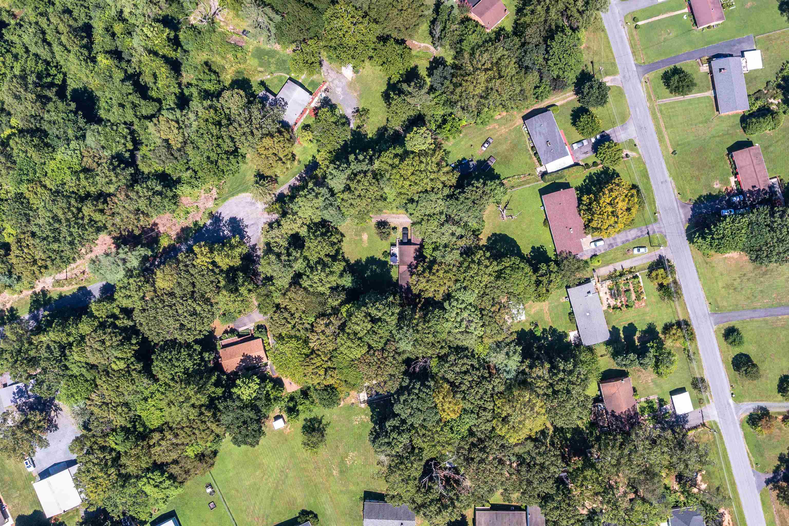 140 Garford Road Madison Heights, VA 24572 - Photo 34 of 35 a picture of flowers