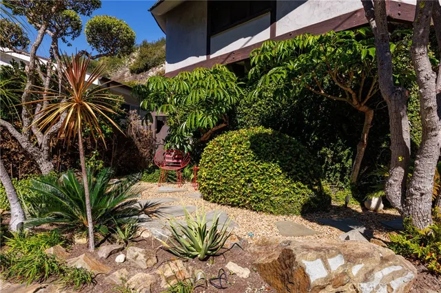 a plant that is in the garden