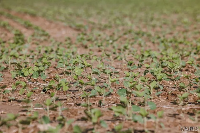 $131,000 | 0 Shawneetown Ford Road, Union, MO 63084