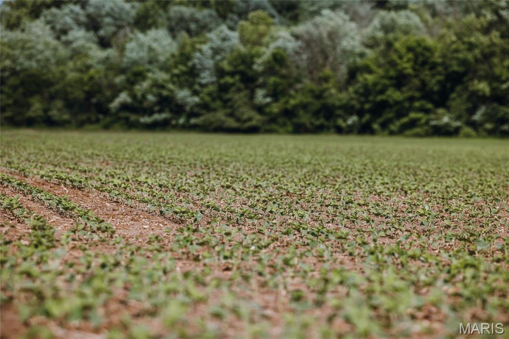 0 Shawneetown Ford Road Union, MO 63084 - Photo 27 of 28