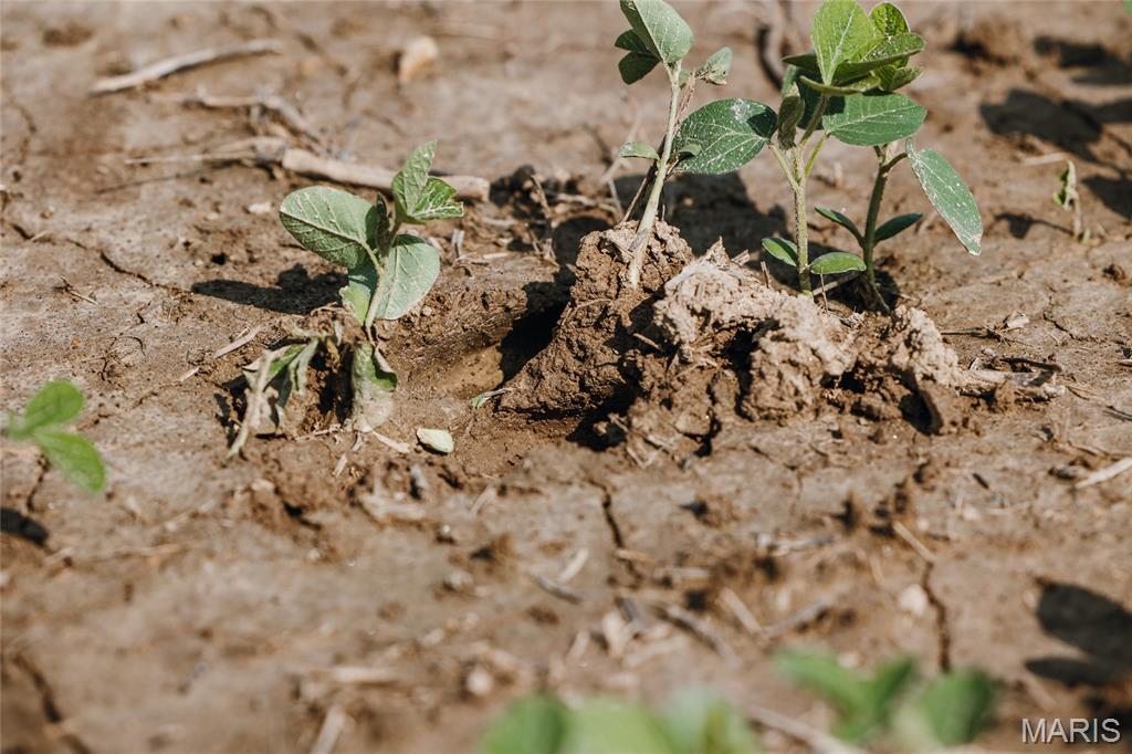 0 Shawneetown Ford Road Union, MO 63084 - Photo 28 of 28