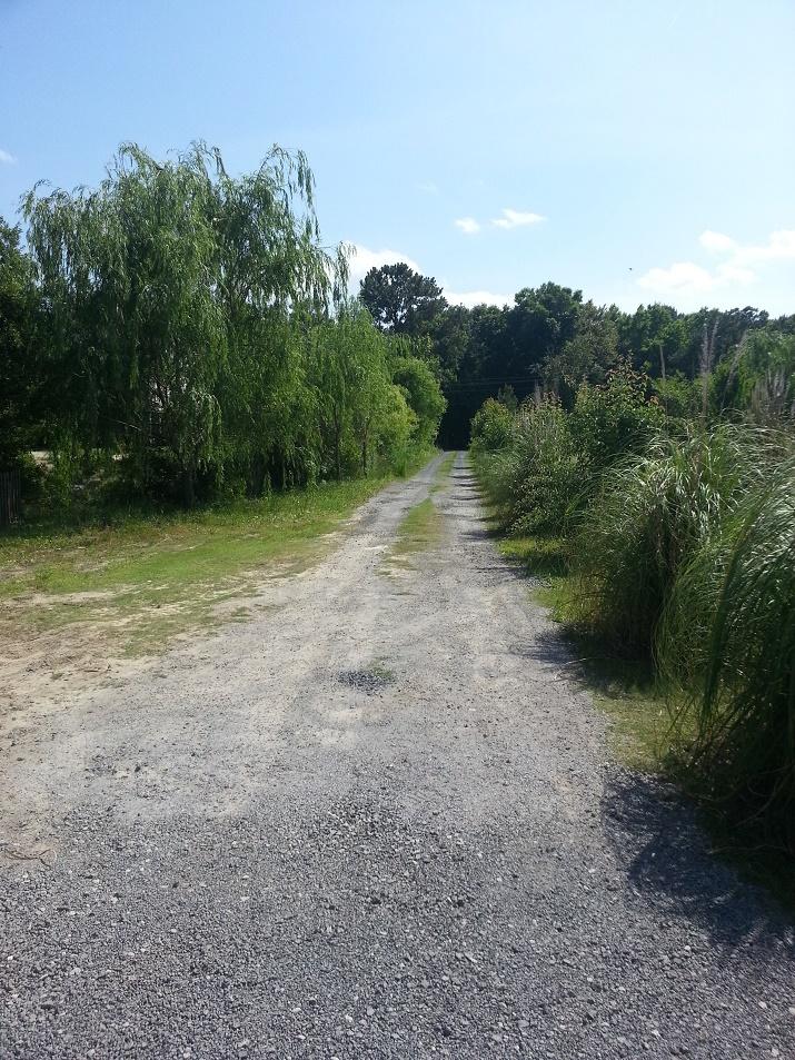 1371 River Road Johns Island, SC 29455 - Photo 6 of 7 river road easement
