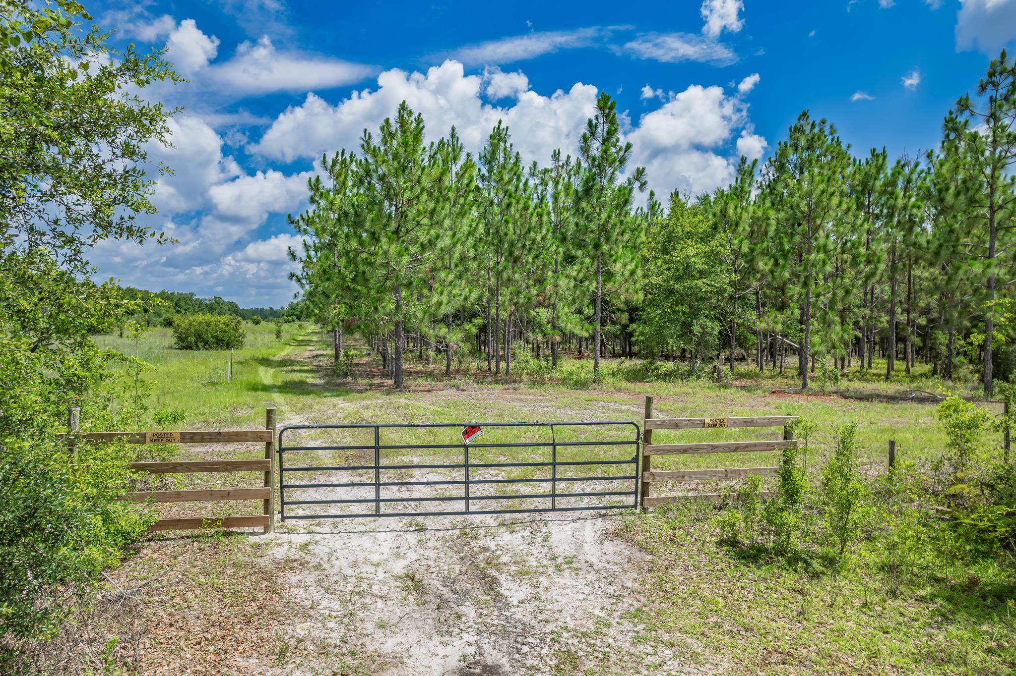 Xxx Northeast Hickory Grove Road Pinetta, FL 32350 - Photo 32 of 32