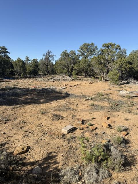 Lot 6 Gate Road Ramah, NM 87357 - Photo 11 of 17 Gallery Image 11